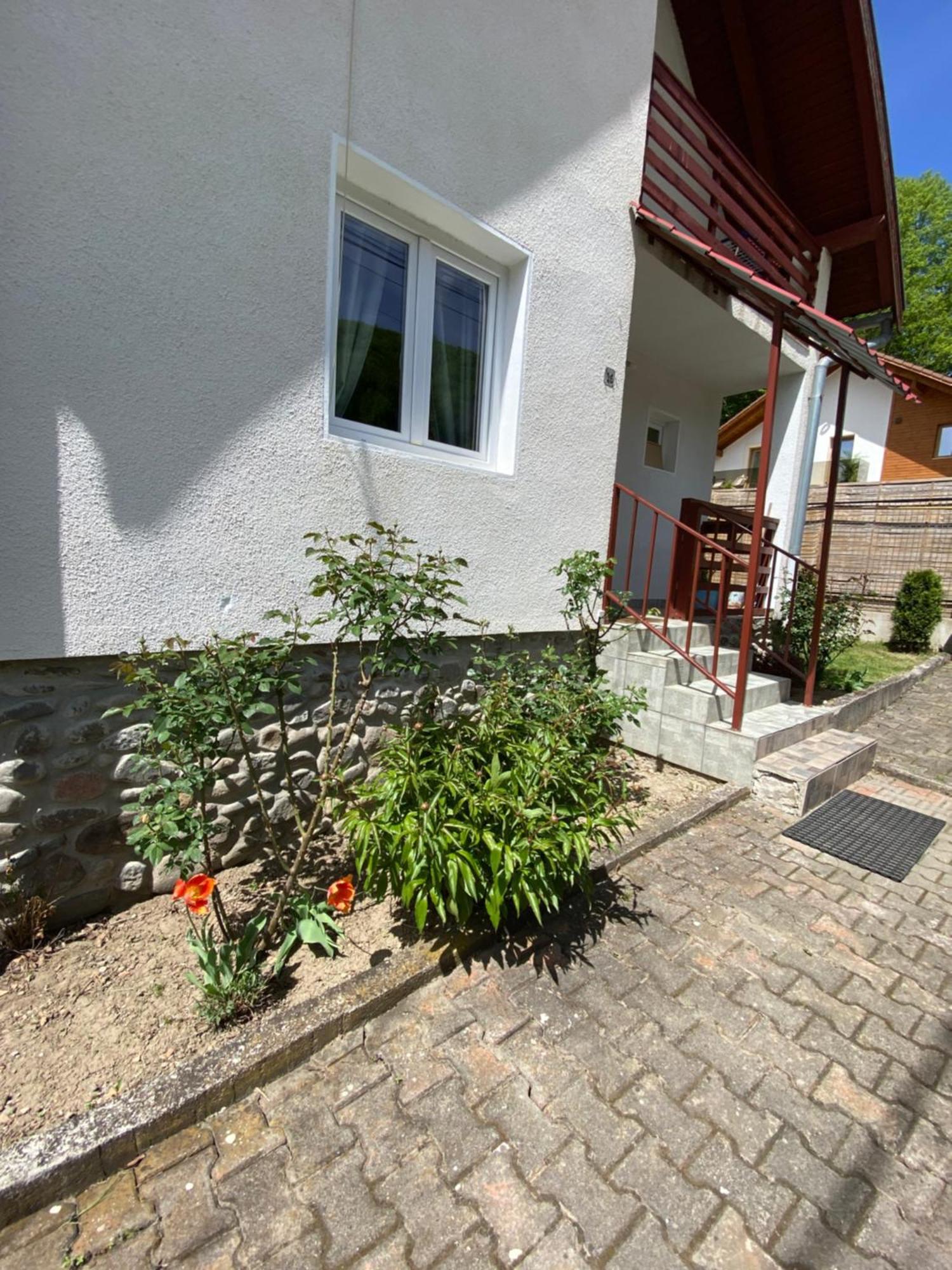 Casa Micul Arin Vila Sovata Exterior foto